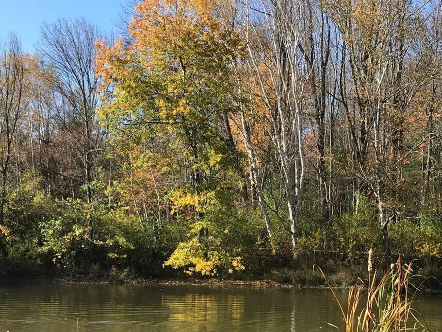 Beautiful Multi-generational Country